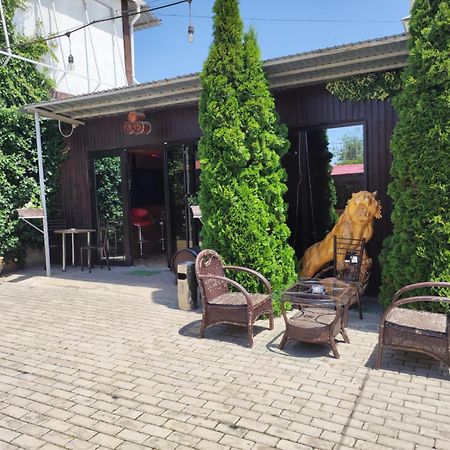 В Гостях На Иссык-Куле Hotel Cholpon-Ata Bagian luar foto